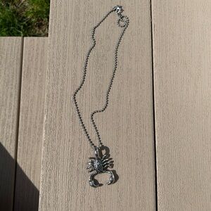 Amazon Scorpio Pendant Silver Necklace